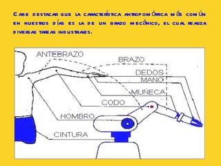 Cabe destacar que la característica antropomórfica más común en nuestros días es la de un brazo mecánico, el cual realiza diversas tareas industriales.  
