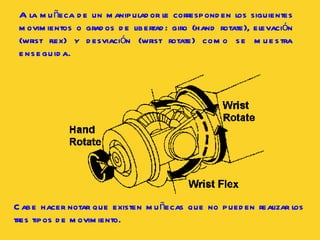 A la muñeca de un manipulador le corresponden los siguientes movimientos o grados de libertad: giro (hand rotate), elevación (wrist flex) y desviación   (wrist rotate)  como  se  muestra  enseguida. Cabe hacer notar que existen muñecas que no pueden realizar los tres tipos de movimiento.  
