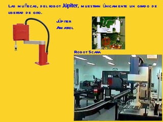 Júpiter Amatrol Las muñecas, del robot  Júpiter , muestran únicamente un grado de libertad de giro. Robot Scara 