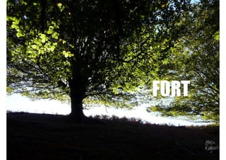 FORT 
 