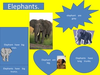 Elephants.
                                    elephant are
                                         grey




Elephant have big
       eays.



                                           Elephants have
                     Elephant are
                                             long trunks.
                          big.

Elephants have big
      truncs.
 