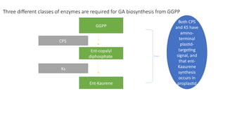 Gepp Growth Rings 1 Plant growth regulators, gibberellin hormoneGA.pptx