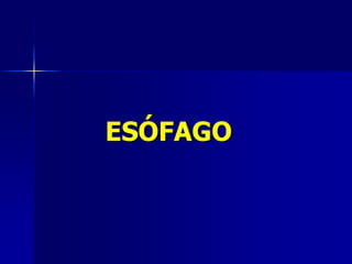 ESÓFAGO
 