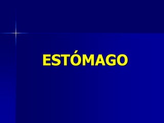ESTÓMAGO
 