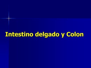 Intestino delgado y Colon
 