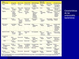 Características
de las
enterocolitis
bacterianas
 