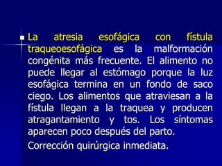  La atresia esofágica con fístula
traqueoesofágica es la malformación
congénita más frecuente. El alimento no
puede llegar al estómago porque la luz
esofágica termina en un fondo de saco
ciego. Los alimentos que atraviesan a la
fístula llegan a la traquea y producen
atragantamiento y tos. Los síntomas
aparecen poco después del parto.
Corrección quirúrgica inmediata.
 