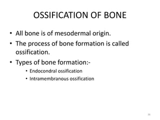 OSSIFICATION OF BONE
• All bone is of mesodermal origin.
• The process of bone formation is called
ossification.
• Types of bone formation:-
• Endocondral ossification
• Intramembranous ossification
36
 