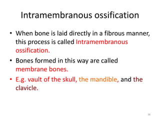 Intramembranous ossification
• When bone is laid directly in a fibrous manner,
this process is called Intramembranous
ossification.
• Bones formed in this way are called
membrane bones.
• E.g. vault of the skull, the mandible, and the
clavicle.
38
 