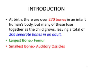 INTRODUCTION
• At birth, there are over 270 bones in an infant
human's body, but many of these fuse
together as the child grows, leaving a total of
206 separate bones in an adult.
• Largest Bone:- Femur
• Smallest Bone:- Auditory Ossicles
5
 