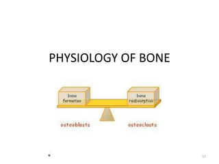 PHYSIOLOGY OF BONE
57
 