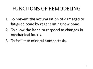 FUNCTIONS OF REMODELING
1. To prevent the accumulation of damaged or
fatigued bone by regenerating new bone.
2. To allow the bone to respond to changes in
mechanical forces.
3. To facilitate mineral homeostasis.
63
 