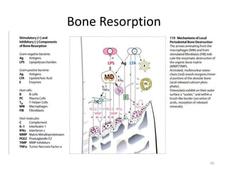 Bone Resorption
65
 