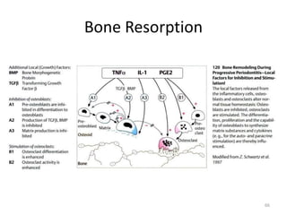 Bone Resorption
66
 