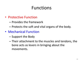 Functions
• Protective Function
– Provides the framework
– Protects the soft and vital organs of the body.
• Mechanical Function
– Support the Body
– Their attachment to the muscles and tendons, the
bone acts as levers in bringing about the
movements.
69
 
