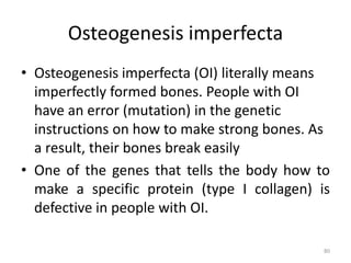 Osteogenesis imperfecta
• Osteogenesis imperfecta (OI) literally means
imperfectly formed bones. People with OI
have an error (mutation) in the genetic
instructions on how to make strong bones. As
a result, their bones break easily
• One of the genes that tells the body how to
make a specific protein (type I collagen) is
defective in people with OI.
80
 