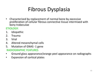 Fibrous Dysplasia
• Characterized by replacement of normal bone by excessive
proliferation of cellular fibrous connective tissue intermixed with
bony trabeculae
ETIOLOGY:
1. Idiopathic
2. Trauma
3. Viral
4. Altered mesenchymal cells
5. Mutation of GNAS -1 gene
RADIOGRAPHIC FEATURES
• Ground glass appearance/orange peel appearance on radiographs
• Expansion of cortical plates
83
 