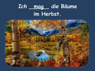Ich ______ die Bäume
im Herbst.
mag
 