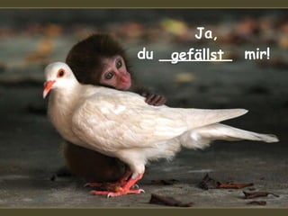 Ja,
du ________ mir!gefällst
 