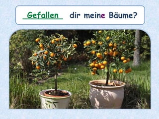 ________ dir meine Bäume?Gefallen
 
