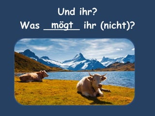 Und ihr?
Was ______ ihr (nicht)?mögt
 