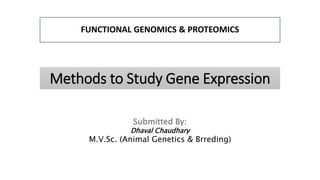 FUNCTIONAL GENOMICS & PROTEOMICS
Submitted By:
Dhaval Chaudhary
M.V.Sc. (Animal Genetics & Brreding)
Methods to Study Gene Expression
 