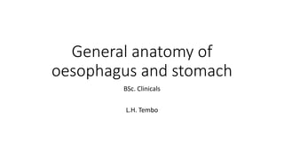 General anatomy of
oesophagus and stomach
BSc. Clinicals
L.H. Tembo
 