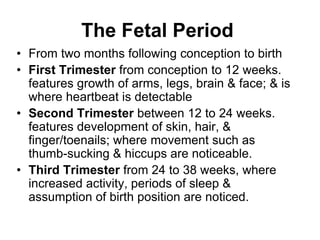 The Fetal Period
• From two months following conception to birth
• First Trimester from conception to 12 weeks.
features growth of arms, legs, brain & face; & is
where heartbeat is detectable
• Second Trimester between 12 to 24 weeks.
features development of skin, hair, &
finger/toenails; where movement such as
thumb-sucking & hiccups are noticeable.
• Third Trimester from 24 to 38 weeks, where
increased activity, periods of sleep &
assumption of birth position are noticed.
 