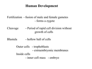 Human Development
Fertilization - fusion of male and female gametes
- forms a zygote
Cleavage - Period of rapid cell division without
growth of cells
Blastula - hollow ball of cells
Outer cells - trophoblasts
- extraembryonic membranes
Inside cells
- inner cell mass - embryo
 