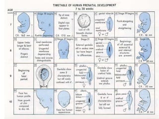1general aspects of human prenatal development.ppt