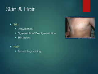 Skin & Hair
 Skin:
 Dehydration
 Pigmentation/ De-pigmentation
 Skin lesions
 Hair:
 Texture & grooming
 