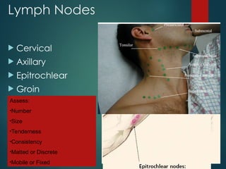 Lymph Nodes
 Cervical
 Axillary
 Epitrochlear
 Groin
Assess:
•Number
•Size
•Tenderness
•Consistency
•Matted or Discrete
•Mobile or Fixed
 
