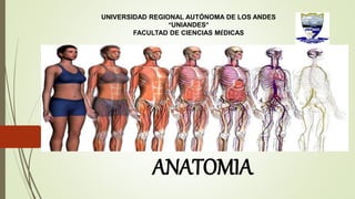 ANATOMIA
UNIVERSIDAD REGIONAL AUTÓNOMA DE LOS ANDES
“UNIANDES”
FACULTAD DE CIENCIAS MÉDICAS
 