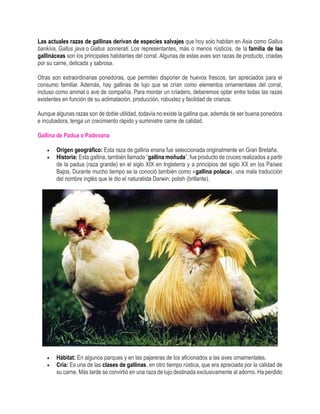 1 GENERALIDADES DEL PROCESO DE PRODUCCIÓN DE AVES.pdf