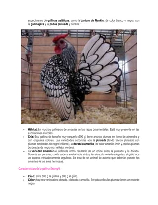 1 GENERALIDADES DEL PROCESO DE PRODUCCIÓN DE AVES.pdf