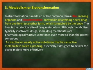 3. Metabolism or Biotransformation
Biotransformation is made up of two common terms- Bio- in living
organism and transformation- conversion of anything *here drug
from one form to another form, which is required by the body. The
liver is the principal site of drug metabolism. Although metabolism
typically inactivates drugs, some drug metabolites are
pharmacologically active sometimes even more so than the parent
compound.
An inactive or weakly active substance that has an active
metabolite is called a prodrug, especially if designed to deliver the
active moiety more effectively.
 