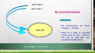 Re Transformation gene stacking in crop plants final | PPTX