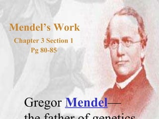 Mendel’s Work Chapter 3 Section 1 Pg 80-85 Gregor  Mendel — the father of genetics   