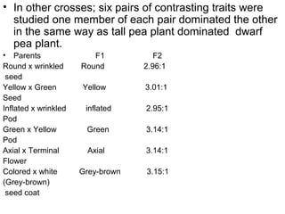 • In other crosses; six pairs of contrasting traits were
studied one member of each pair dominated the other
in the same way as tall pea plant dominated dwarf
pea plant.
• Parents F1 F2
Round x wrinkled Round 2.96:1
seed
Yellow x Green Yellow 3.01:1
Seed
Inflated x wrinkled inflated 2.95:1
Pod
Green x Yellow Green 3.14:1
Pod
Axial x Terminal Axial 3.14:1
Flower
Colored x white Grey-brown 3.15:1
(Grey-brown)
seed coat
 