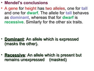 • Mendel’s conclusions
• A gene for height has two alleles, one for tall
and one for dwarf. The allele for tall behaves
as dominant, whereas that for dwarf is
recessive. Similarly for the other six traits.
• DominantDominant: An allele which is expressed: An allele which is expressed
(masks the other).(masks the other).
• RecessiveRecessive: An allele which is present but: An allele which is present but
remains unexpressed (masked)remains unexpressed (masked)
 