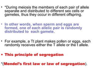 • *During meiosis the members of each pair of allele
separate and distributed to different sex cells or
gametes, thus they occur in different offspring.
• In other words, when sperm and eggs are
formed, one of each allelic pair is randomly
distributed to each gamete.
• For example, a Tt plant makes pollen or eggs, each
randomly receives either the T allele or the t allele.
• This principle of segregation
*(Mendel’s first law or law of segregation).
 