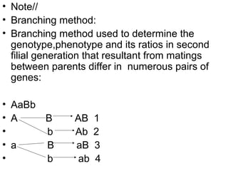 • Note//
• Branching method:
• Branching method used to determine the
genotype,phenotype and its ratios in second
filial generation that resultant from matings
between parents differ in numerous pairs of
genes:
• AaBb
• A B AB 1
• b Ab 2
• a B aB 3
• b ab 4
 