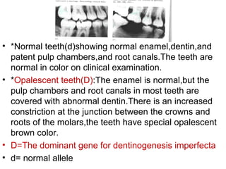 • *Normal teeth(d)showing normal enamel,dentin,and
patent pulp chambers,and root canals.The teeth are
normal in color on clinical examination.
• *Opalescent teeth(D):The enamel is normal,but the
pulp chambers and root canals in most teeth are
covered with abnormal dentin.There is an increased
constriction at the junction between the crowns and
roots of the molars,the teeth have special opalescent
brown color.
• D=The dominant gene for dentinogenesis imperfecta
• d= normal allele
 