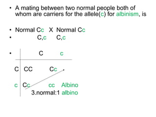 • A mating between two normal people both of
whom are carriers for the allele(c) for albinism, is
• Normal Cc X Normal Cc
• C,c C,c
• C c
C CC Cc
c Cc cc Albino
3.normal:1 albino
 
