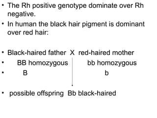• The Rh positive genotype dominate over Rh
negative.
• In human the black hair pigment is dominant
over red hair:
• Black-haired father X red-haired mother
• BB homozygous bb homozygous
• B b
• possible offspring Bb black-haired
 