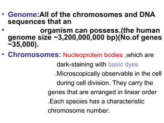 • Genome:All of the chromosomes and DNA
sequences that an
• organism can possess.(the human
genome size ~3,200,000,000 bp)(No.of genes
~35,000).
• Chromosomes: Nucleoprotein bodies ,which are
dark-staining with basic dyes
.Microscopically observable in the cell
during cell division. They carry the
genes that are arranged in linear order
.Each species has a characteristic
chromosome number.
 