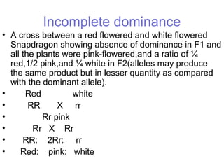 Incomplete dominance
• A cross between a red flowered and white flowered
Snapdragon showing absence of dominance in F1 and
all the plants were pink-flowered,and a ratio of ¼
red,1/2 pink,and ¼ white in F2(alleles may produce
the same product but in lesser quantity as compared
with the dominant allele).
• Red white
• RR X rr
• Rr pink
• Rr X Rr
• RR: 2Rr: rr
• Red: pink: white
 