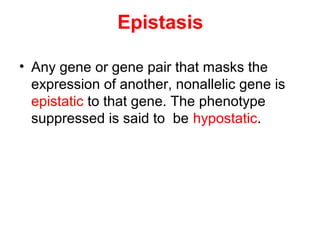 Epistasis
• Any gene or gene pair that masks the
expression of another, nonallelic gene is
epistatic to that gene. The phenotype
suppressed is said to be hypostatic.
 