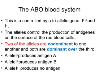 The ABO blood system
• This is a controlled by a tri-allelic gene. IA,
IB,
and
Io
.
• The alleles control the production of antigenes
on the surface of the red blood cells.
• Two of the alleles are codominant to one
another and both are dominant over the third.
• AlleleIA
produces antigen A
• AlleleIB
produces antigen B
• AlleleIo
produces no antigen
 
