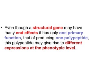 • Even though a structural gene may have
many end effects it has only one primary
function, that of producing one polypeptide,
this polypeptide may give rise to different
expressions at the phenotypic level.
 